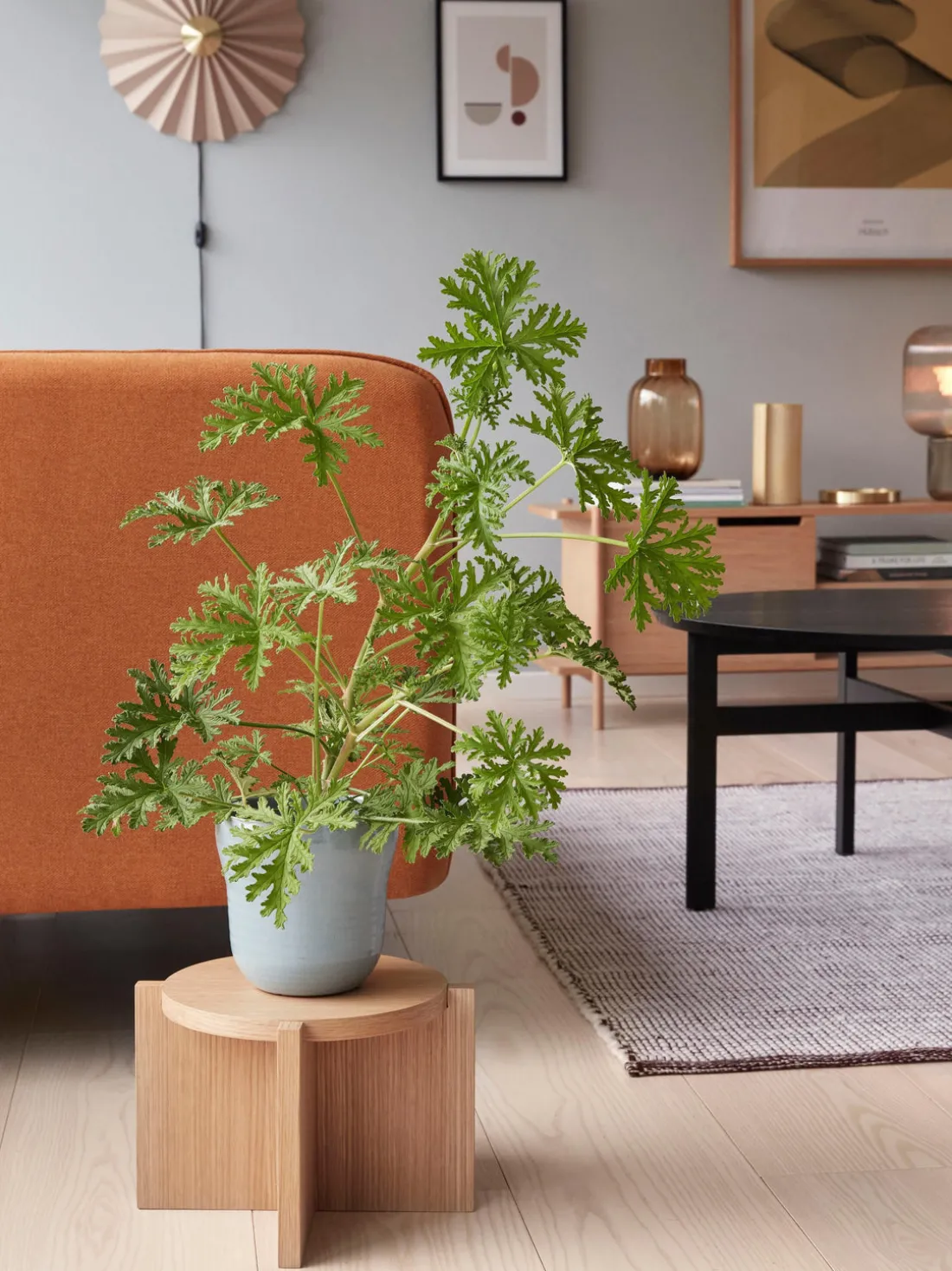 Aplique de papel Tenty, con enchufe