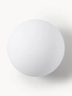 Aplique Dioscuri, tamaños diferentes