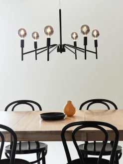 Araña grande Monarch