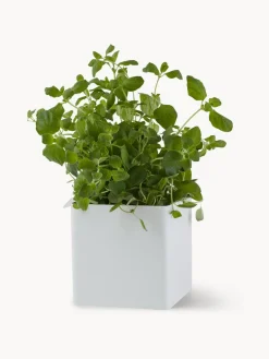 Caja de almacenaje modular Flex, magnética