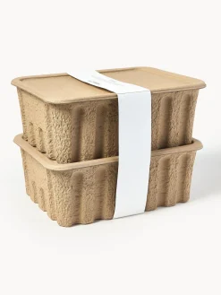 Cajas de pasta de papel Pulp, 30 cm, 2 uds.
