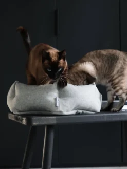 Cama para gatos de lana Calma