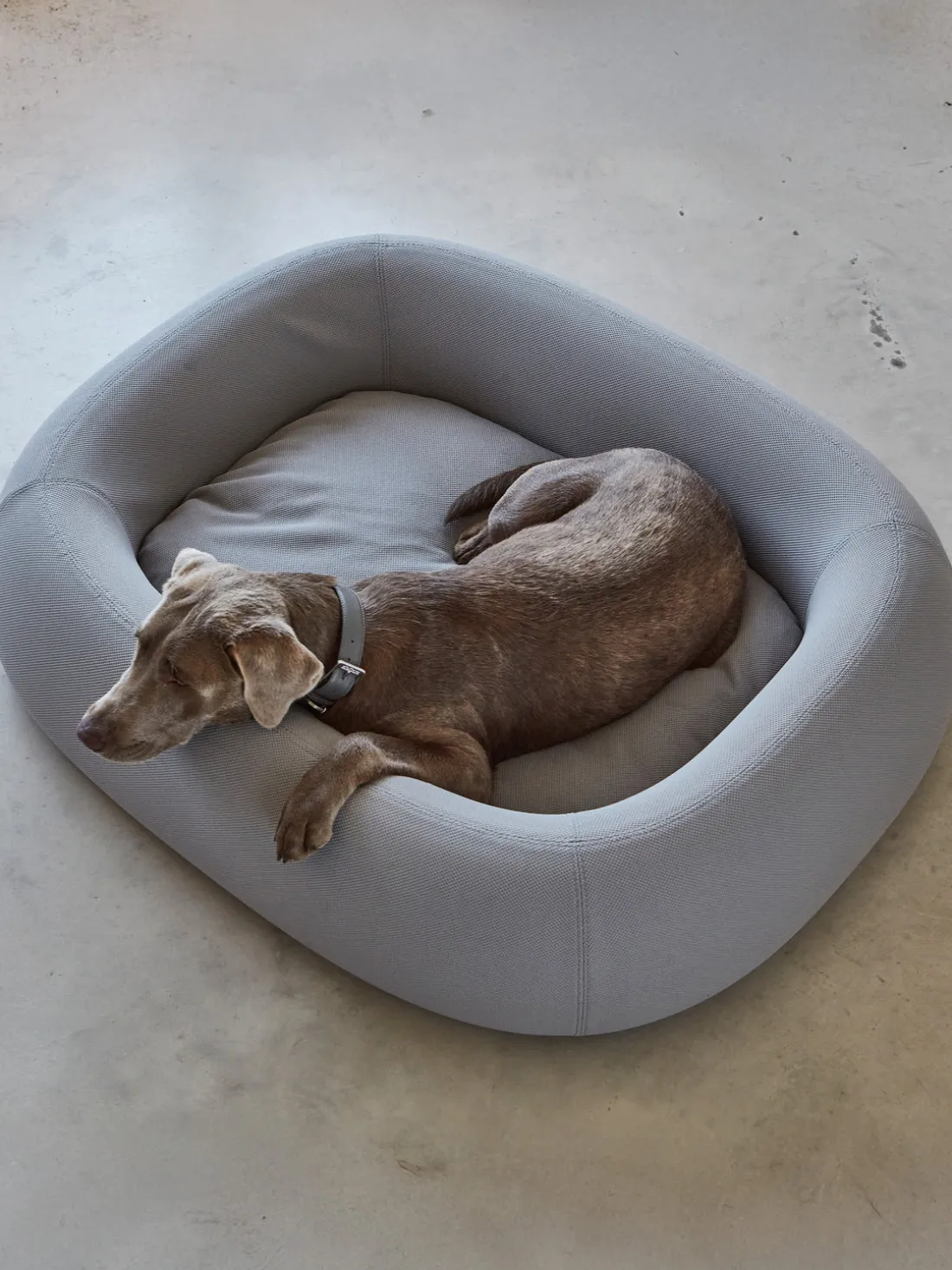 Cama para mascotas Barca, tamaños diferentes