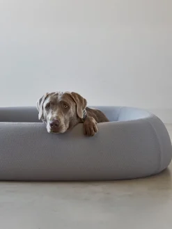 Cama para mascotas Barca, tamaños diferentes