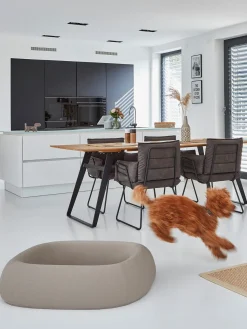 Cama para mascotas Barca, tamaños diferentes