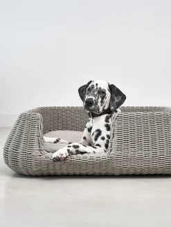 Cama para mascotas de interior/exterior Mio, tamaños diferentes