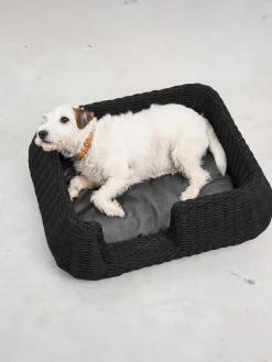 Cama para mascotas de interior/exterior Mio, tamaños diferentes