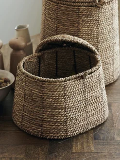 Cesta con tapadera de algas Rama