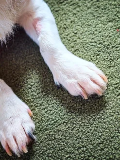 Colcha para mascotas con reverso antideslizante Teddy, tamaños diferentes