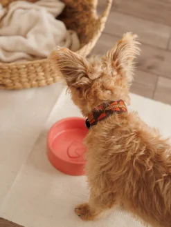 Collar para mascotas artesanal Etna, tamaños diferentes