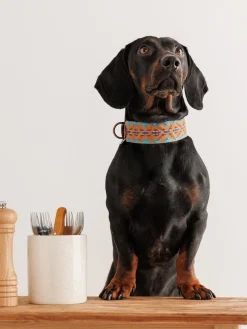 Collar para mascotas artesanal Etna, tamaños diferentes