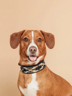 Collar para mascotas artesanal Peyote, tamaños diferentes