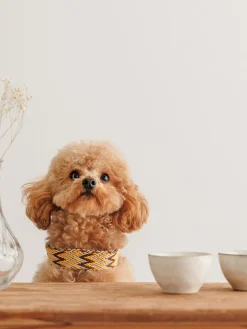 Collar para mascotas artesanal Peruvian, tamaños diferentes