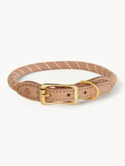 Collar para mascotas Perry, tamaños diferentes