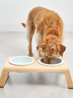 Comedero para mascotas con soporte Desco, 10 cm