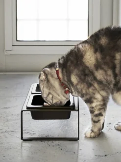 Comedero para mascotas Tower