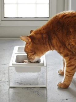 Comedero para mascotas Tower