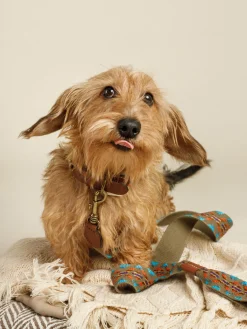 Correa para mascotas artesanal Etna