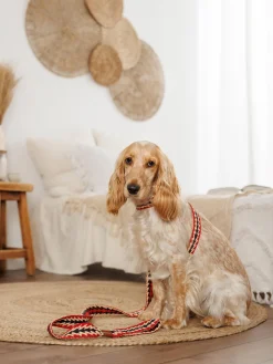 Correa para mascotas artesanal Peruvian Arrov