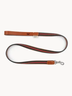 Correa para mascotas artesanal Baseball