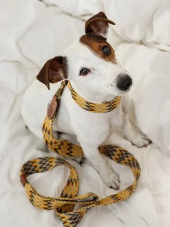 Correa para mascotas artesanal Peruvian