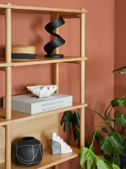 Cuenco de dolomita en forma de concha Shell