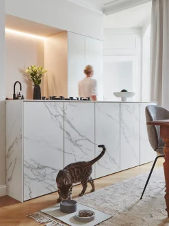 Cuenco para mascotas de porcelana Piatto