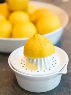 Exprimidor de porcelana Plus