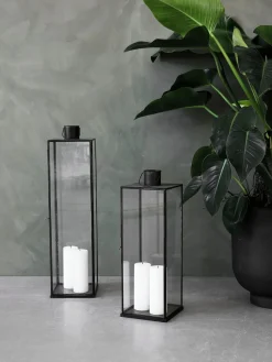 Farolillo Narrow, 79 cm