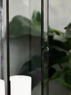 Farolillo Narrow, 79 cm