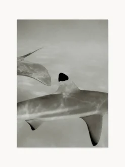 Impresión digital Abyssal