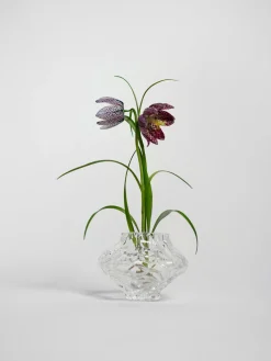 Jarrón de vidrio soplado Canyon, 8 cm