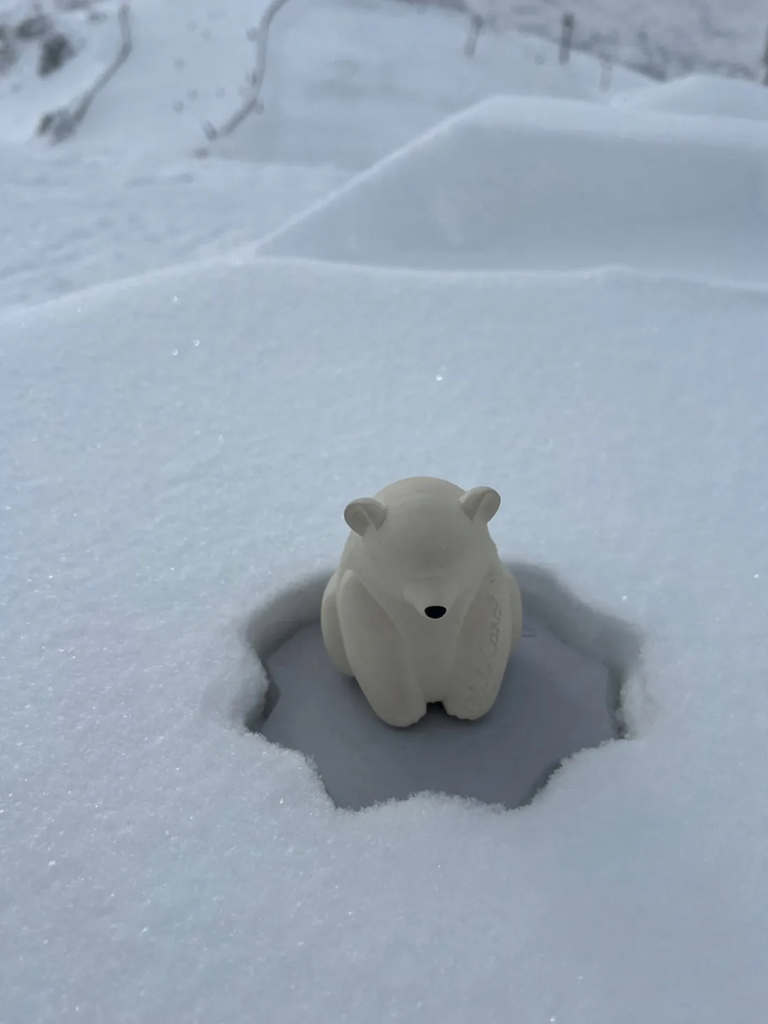 Juguete de baño artesanal Ice Protector