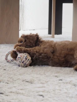 Juguete para perros Otto