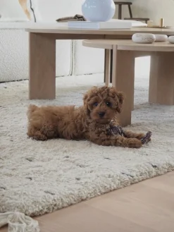 Juguete para perros Otto