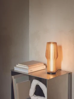 Lámpara de mesa pequeña LED regulable Radiant, portátil