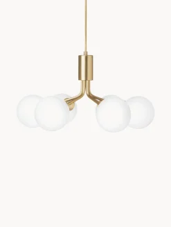 Lámpara de techo de vidrio Apiales