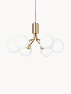 Lámpara de techo de vidrio Apiales