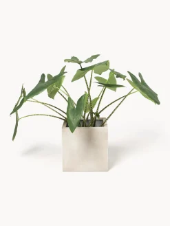 Macetero de hormigón Tuscany, 40 cm