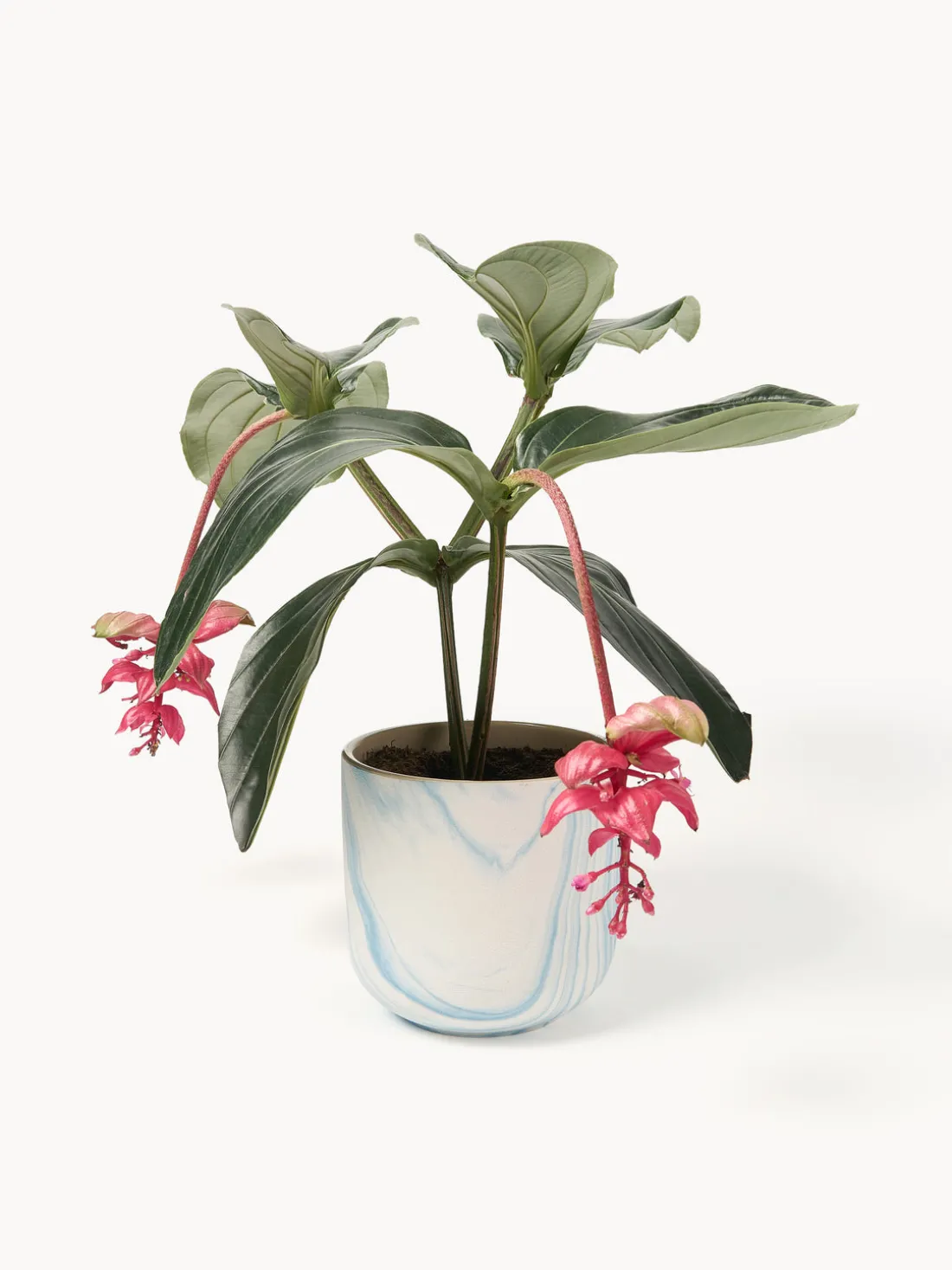 Macetero en look mármol Kiko, 17 cm