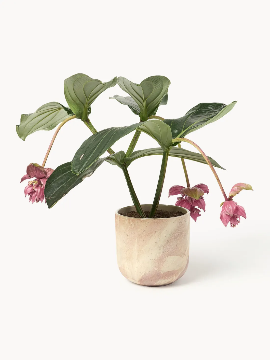 Macetero en look mármol Kiko, 17 cm