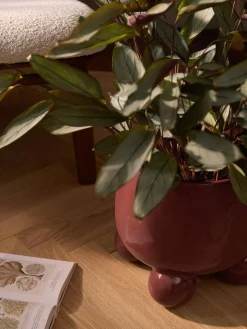 Macetero grande de dolomita Olea, 32 cm