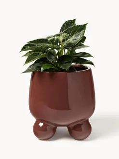 Macetero Olea, 26 cm