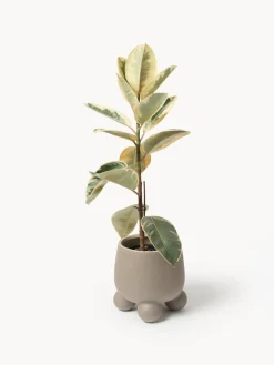 Macetero Olea, 26 cm