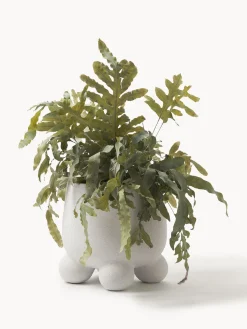 Macetero Olea, Al 26 cm