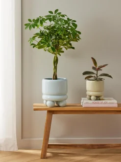 Macetero pequeño Bryn, Al 18 cm