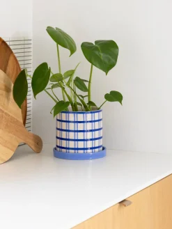 Macetero pintado a mano Clash