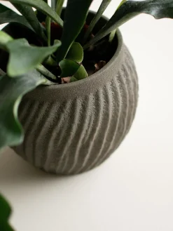Macetero Raw, 19 cm