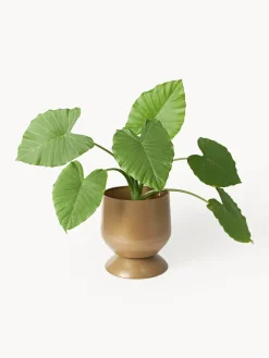 Maceteros Renya, 2 uds.