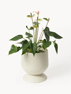 Maceteros Renya, 2 uds.